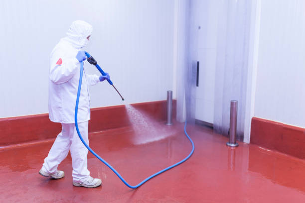 Best Warehouse Cleaning  in Rollingwood, TX